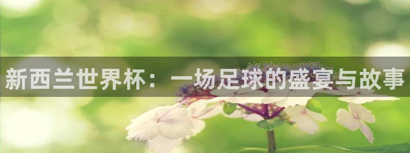 2026年足球世界杯赛程时间表：新西兰世界杯：一场足球的盛宴与故事