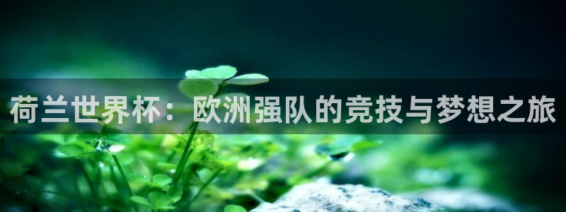 2026世界杯亚洲预选赛赛程：荷兰世界杯：欧洲强队的竞技与梦想之旅