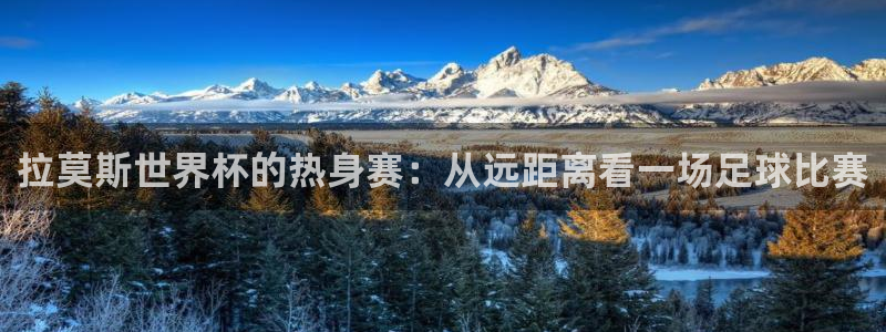 世界杯对阵图2026：拉莫斯世界杯的热身赛：从远距离看一场足球比赛