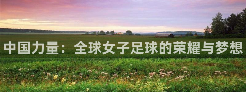 今年的世界杯：中国力量：全球女子足球的荣耀与梦想
