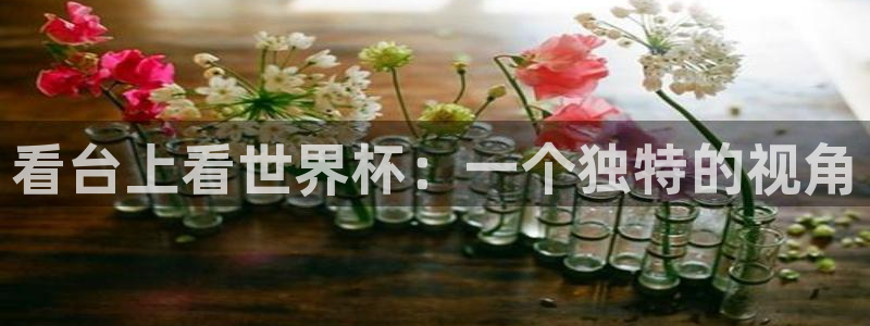 2026世预赛赛程表：看台上看世界杯：一个独特的视角