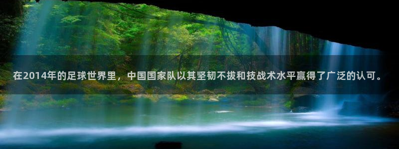 今年的世界杯：在2014年的足球世界里，中国国家队以其坚韧不拔和技战术水平赢得了广泛的认可。