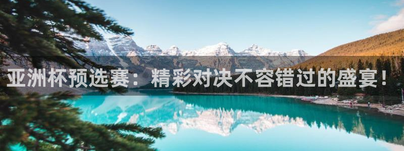 2026世界杯亚洲预选赛：亚洲杯预选赛：精彩对决不容错过的盛宴！