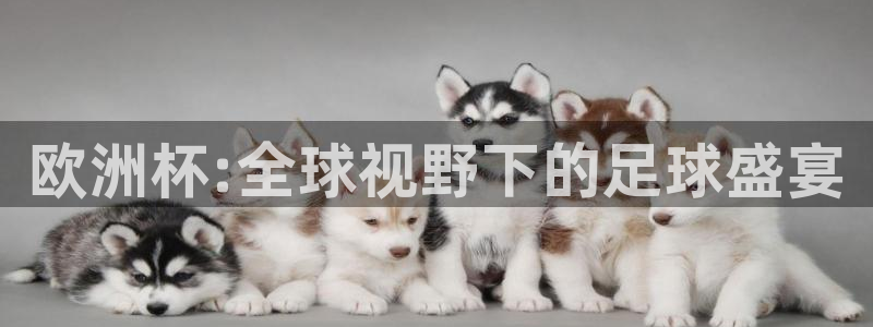世界杯预选赛欧洲区赛程：欧洲杯:全球视野下的足球盛宴