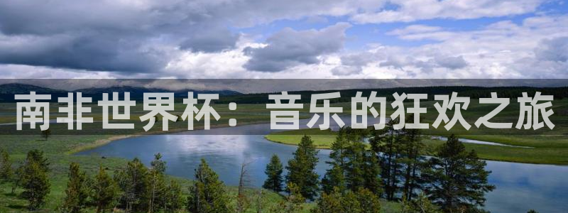 美国世界杯：南非世界杯：音乐的狂欢之旅