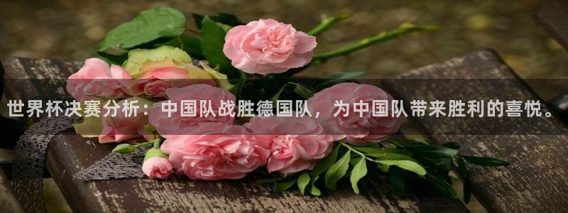 世界杯预选赛规则：世界杯决赛分析：中国队战胜德国队，为中国队带来胜利的喜悦。