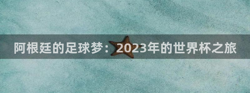 2026世界杯赛：阿根廷的足球梦：2023年的世界杯之旅