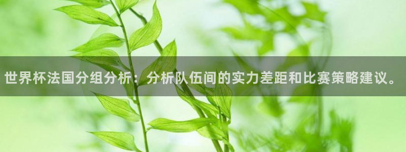 世界杯 2026：世界杯法国分组分析：分析队伍间的实力差距和比赛策略建议。