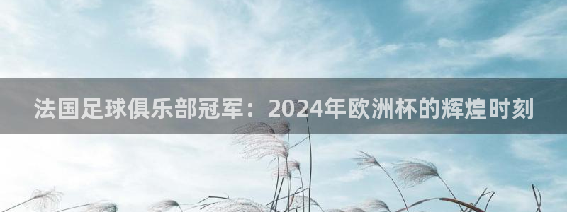 世界杯对阵图2026：法国足球俱乐部冠军：2024年欧洲杯的辉煌时刻