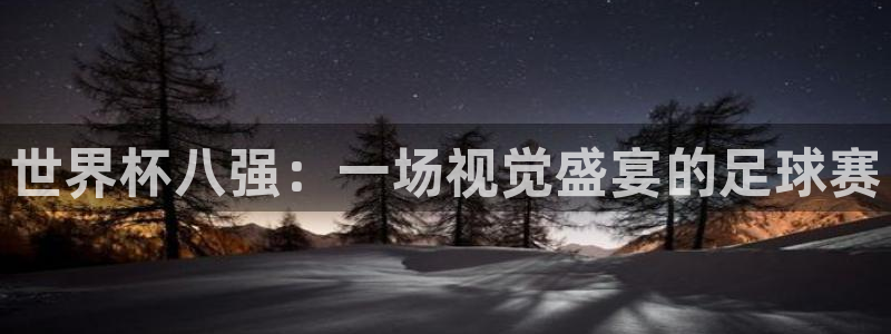 2026世界杯官网入口：世界杯八强：一场视觉盛宴的足球赛