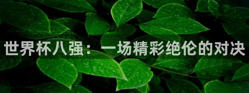 2026世界杯日期：世界杯八强：一场精彩绝伦的对决