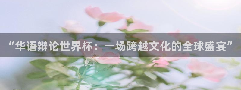 2026世界杯赛：“华语辩论世界杯：一场跨越文化的全球盛宴”